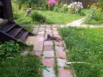Продается двух этажный дом Продается двух этажный дом