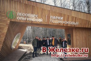 Работы по благоустройству Ольгинского лесопарка в Балашихе уже выполнены на 85 процентов.